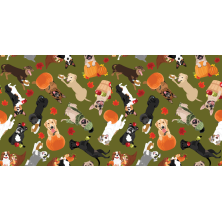 Szelki norweskie/Guard...