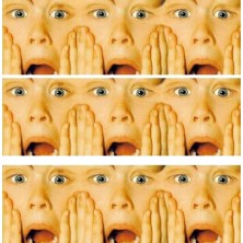 Szelki norweskie/Guard...