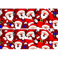 Szelki norweskie/Guard...