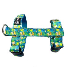 Szelki norweskie/Guard Król Lew