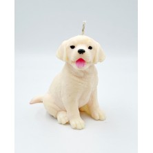 Świeca sojowa Labrador