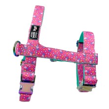 Szelki norweskie/Guard Pepa