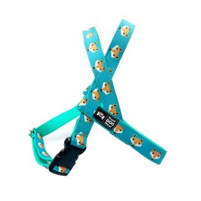 Szelki norweskie/Guard Lisek