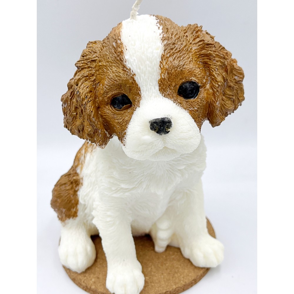 Świeca sojowa King Charles Spaniel