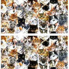 Szelki norweskie/Guard Koty