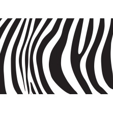 Szelki norweskie/Guard Zebra