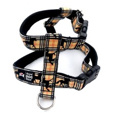 Szelki norweskie/Guard a'la Burberry