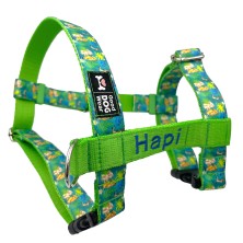 Szelki norweskie/Guard Król Lew