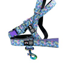 Szelki norweskie/Guard 90' music