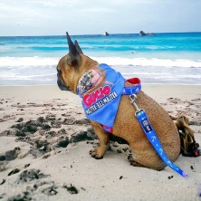 Chustka dla psa z Twoim nadrukiem