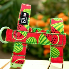 Szelki norweskie/Guard Arbuz Sweet