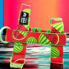 Szelki norweskie/Guard Arbuz Sweet