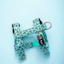 Szelki norweskie/Guard Scooby-Doo mint