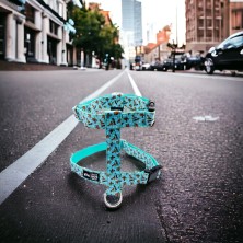 Szelki norweskie/Guard Scooby-Doo mint