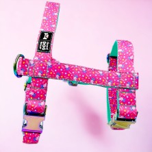 Szelki norweskie/Guard Pepa