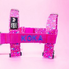 Szelki norweskie/Guard Pepa