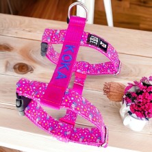 Szelki norweskie/Guard Pepa