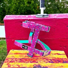 Szelki norweskie/Guard Pepa