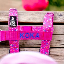 Szelki norweskie/Guard Pepa