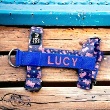 Szelki norweskie/Guard Świnka Pepa 2