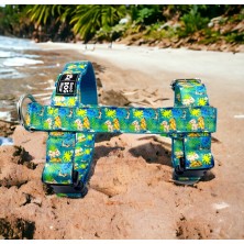 Szelki norweskie/Guard Król Lew