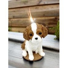 Świeca sojowa King Charles Spaniel