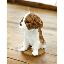 Świeca sojowa King Charles Spaniel