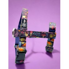 Szelki norweskie/Guard Jesienny las