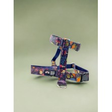 Szelki norweskie/Guard Jesienny las