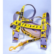 Szelki norweskie/Guard Friends2