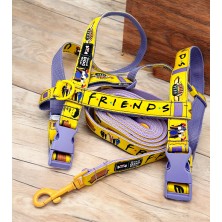 Szelki norweskie/Guard Friends2