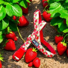 Szelki norweskie/Guard Truskawki 2