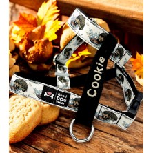 Szelki norweskie/Guard Jeżyk