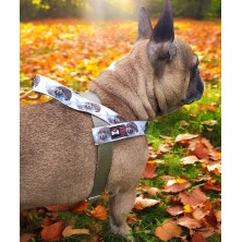 Szelki norweskie/Guard Jeżyk