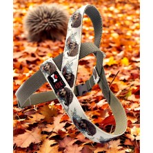 Szelki norweskie/Guard Jeżyk