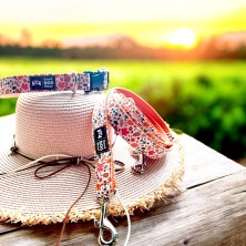 Obroża jesień w lesie