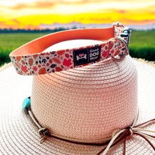 Obroża jesień w lesie