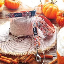 Smycz jesień w lesie