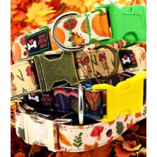 Obroża Jesienny las