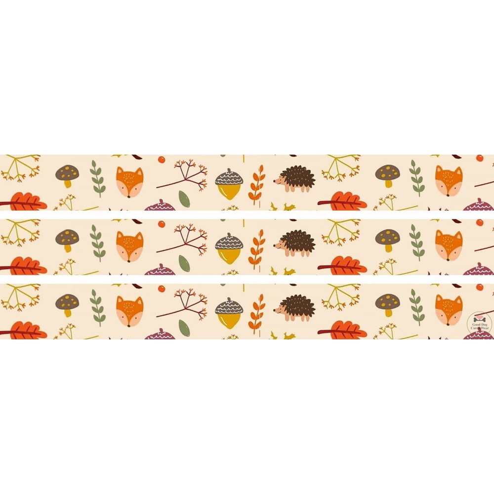 Smycz Złota jesień