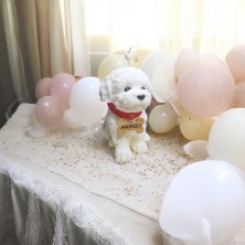 Świeca sojowa Maltańczyk / West