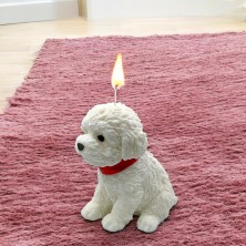 Świeca sojowa Maltańczyk / West