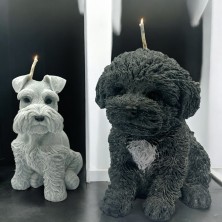 Świeca sojowa Sznaucer