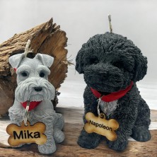 Świeca sojowa Sznaucer