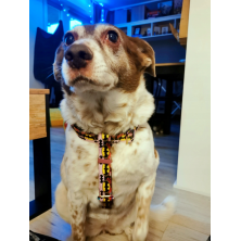 Szelki norweskie/Guard Batman różowy