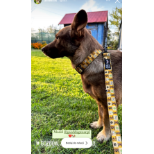 Szelki norweskie/Guard Scooby-Doo