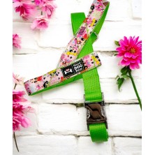 Szelki norweskie/Guard Atomówki