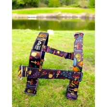 Szelki norweskie/Guard Jesienny las