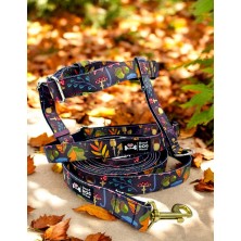 Szelki norweskie/Guard Jesienny las