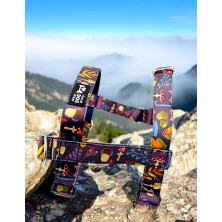 Szelki norweskie/Guard Jesienny las